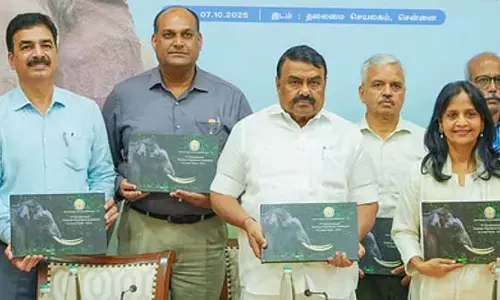 तमिलनाडु में हाथियों की संख्या बढ़ रही है: Minister R.S. Rajakannappan तमिलनाडु में हाथियों की संख्या बढ़ रही है: Minister R.S. Rajakannappan