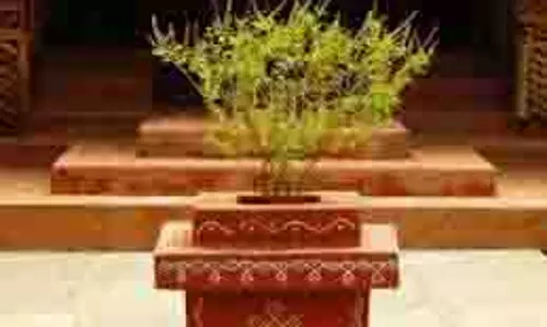 Tulsi Puja: कार्तिक मास में तुलसी पूजा करने से मिलते हैं ये चमत्कारी लाभ, जानें कैसे करें पूजन Tulsi Puja: कार्तिक मास में तुलसी पूजा करने से मिलते हैं ये चमत्कारी लाभ, जानें कैसे करें पूजन