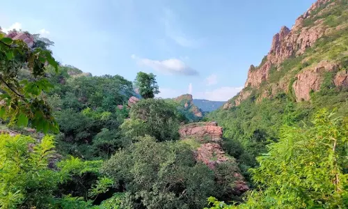 दमउदहरा : प्रकृति, आस्था और इतिहास का अद्भुत संगम