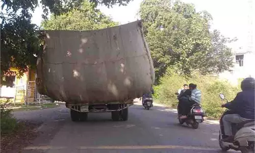 Punjab: सड़कों पर खुलेआम घूम रही मौत