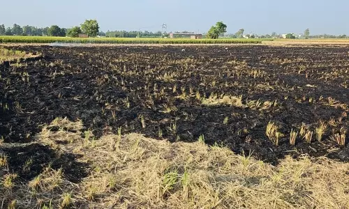 Haryana : 50% धान की कटाई के साथ, कुरुक्षेत्र को पराली की आग पर नियंत्रण की उम्मीद Haryana : 50% धान की कटाई के साथ, कुरुक्षेत्र को पराली की आग पर नियंत्रण की उम्मीद