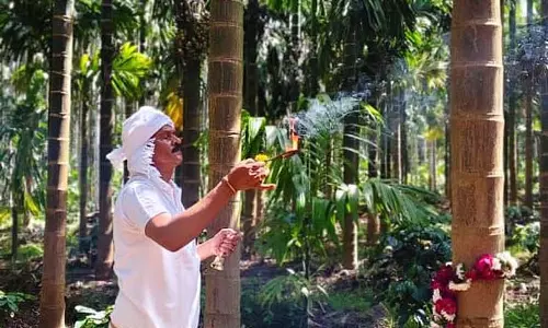 Sirsi : धरतीपुत्रों द्वारा धरती पूजन