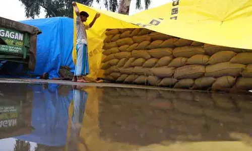 Kathala में धान की खरीद 1 लाख मीट्रिक टन के करीब, किसानों को 186 करोड़ रुपये वितरित