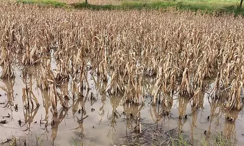 Karnataka : भारी बारिश से तबाह हुआ एक खाद्य विक्रेता का जीवन Karnataka : भारी बारिश से तबाह हुआ एक खाद्य विक्रेता का जीवन