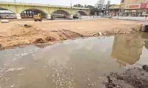 Tamil Nadu: मदुरै निगम ने वैगई नदी को पुनर्जीवित करने की योजना तेज की
