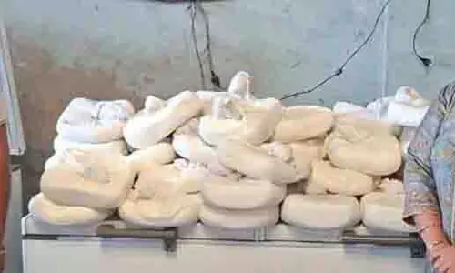 Punjab: पटियाला के एक गांव में 225 किलोग्राम मिलावटी पनीर जब्त Punjab: पटियाला के एक गांव में 225 किलोग्राम मिलावटी पनीर जब्त