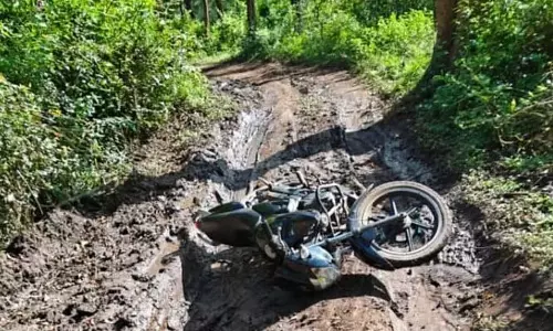 Kodagu: जनगणना के दौरान हाथी से मुठभेड़ में शिक्षक घायल