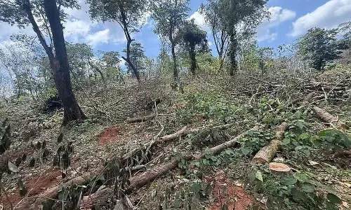 Shibaje : विधायक ने उस जगह का दौरा किया जहां वन विभाग ने खेती को नष्ट किया Shibaje : विधायक ने उस जगह का दौरा किया जहां वन विभाग ने खेती को नष्ट किया