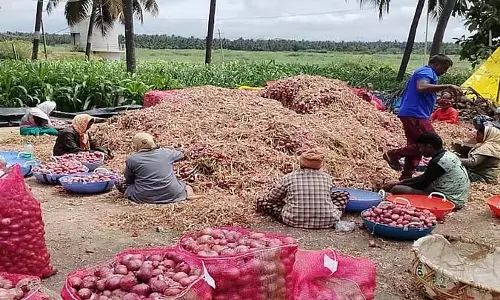 Hosdurga : कीमतों में गिरावट के कारण प्याज उत्पादकों को कठिनाई का सामना करना पड़ रहा है Hosdurga : कीमतों में गिरावट के कारण प्याज उत्पादकों को कठिनाई का सामना करना पड़ रहा है