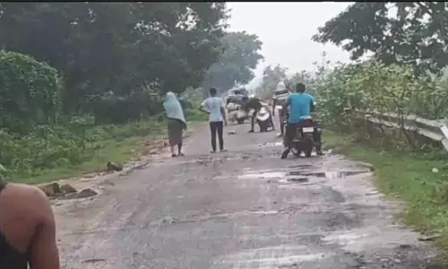Dhenkanal के बसुलेई गांव में मधुमक्खियों के हमले में 7 लोग घायल