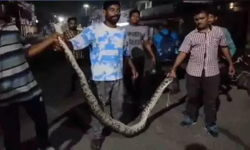 Odisha: सोनपुर में नाले से 17 फुट लंबा अजगर बचाया गया