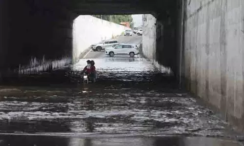 Ludhiana: बारिश से किसानों और सरस मेला प्रदर्शकों के लिए चिंता की बात