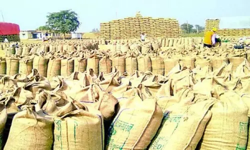 15 नवंबर से धान खरीदी शुरू करेगी साय सरकार