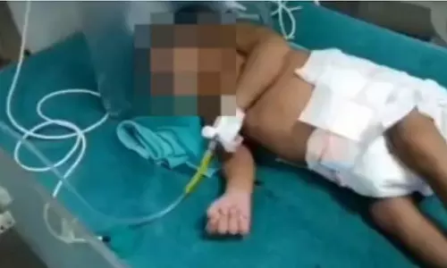 MP : टीकमगढ़ जिला अस्पताल में कूड़े के ढेर में नवजात मिला, चार हिरासत में MP : टीकमगढ़ जिला अस्पताल में कूड़े के ढेर में नवजात मिला, चार हिरासत में