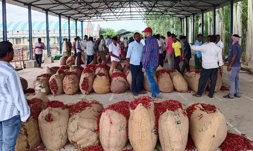 Madhira काली मिर्च मंडी में अवैध कारोबार में कोल्ड स्टोरेज कर्मचारी और एपी व्यापारी शामिल..? Madhira काली मिर्च मंडी में अवैध कारोबार में कोल्ड स्टोरेज कर्मचारी और एपी व्यापारी शामिल..?
