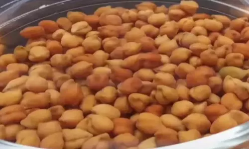 Soaked chickpeas: वजन बढ़ाते हैं या घटाते हैं? जानिए वैज्ञानिक सच