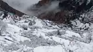 Uttarakhand: बारिश और बर्फबारी से गिरा पारा, ठंड ने दी दस्तक Uttarakhand: बारिश और बर्फबारी से गिरा पारा, ठंड ने दी दस्तक