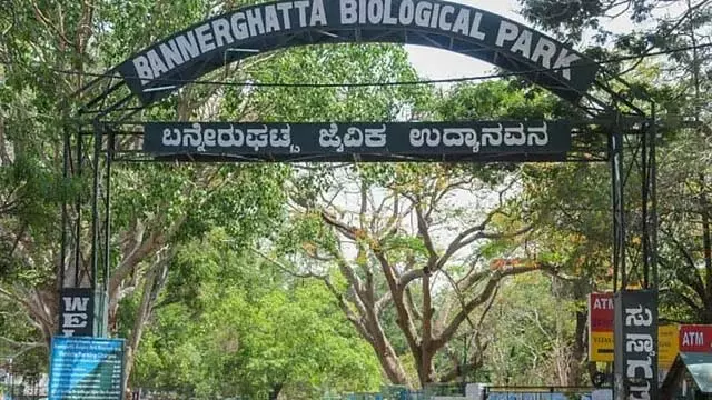 Karnataka : बन्नेरघट्टा जैविक उद्यान में जल्द ही सौर ऊर्जा संयंत्र स्थापित किया जाएगा Karnataka : बन्नेरघट्टा जैविक उद्यान में जल्द ही सौर ऊर्जा संयंत्र स्थापित किया जाएगा