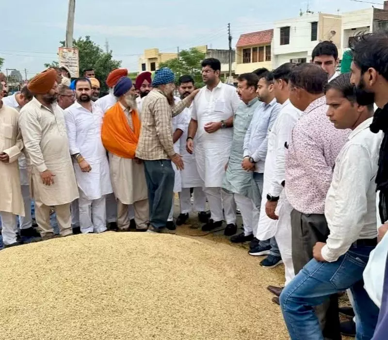 Haryana : कानून व्यवस्था सुधारने के लिए अनिल विज को गृह मंत्री बनाएं Haryana : कानून व्यवस्था सुधारने के लिए अनिल विज को गृह मंत्री बनाएं