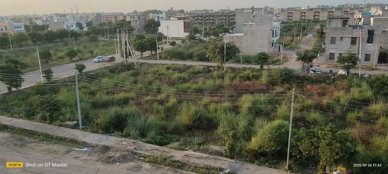Haryana : खाली प्लॉटों पर उगी घास इन जानवरों के प्रजनन का अड्डा बन गई Haryana : खाली प्लॉटों पर उगी घास इन जानवरों के प्रजनन का अड्डा बन गई