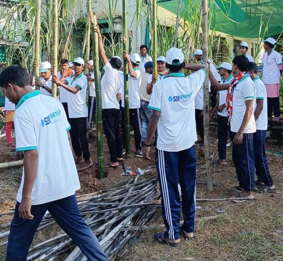 सरेंडर नक्सलियों ने थामी तरक्की की डोर, सीखे कुक्कुटपालन और बकरीपालन करना सरेंडर नक्सलियों ने थामी तरक्की की डोर, सीखे कुक्कुटपालन और बकरीपालन करना