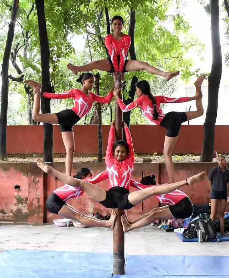 PU में शुरू हुए छह साल हो गए, मल्लखंब को अभी तक कोई खरीदार नहीं मिला PU में शुरू हुए छह साल हो गए, मल्लखंब को अभी तक कोई खरीदार नहीं मिला
