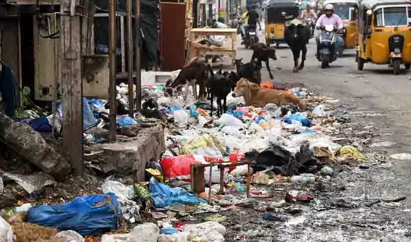 Hyderabad: कॉलोनियों में कूड़े के ढेर लगे, निवासियों को हो रही असुविधा Hyderabad: कॉलोनियों में कूड़े के ढेर लगे, निवासियों को हो रही असुविधा