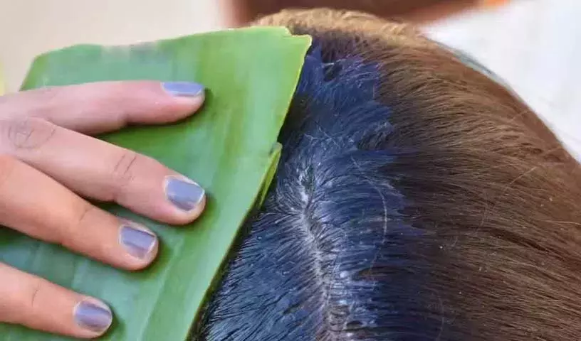 क्या बालों के झड़ने से आप परेशान हैं? बालों की हर तरह की समस्या के लिए इस मिश्रण का इस्तेमाल करें..! क्या बालों के झड़ने से आप परेशान हैं? बालों की हर तरह की समस्या के लिए इस मिश्रण का इस्तेमाल करें..!