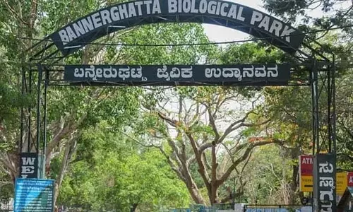 Karnataka : बन्नेरघट्टा जैविक उद्यान में जल्द ही सौर ऊर्जा संयंत्र स्थापित किया जाएगा Karnataka : बन्नेरघट्टा जैविक उद्यान में जल्द ही सौर ऊर्जा संयंत्र स्थापित किया जाएगा