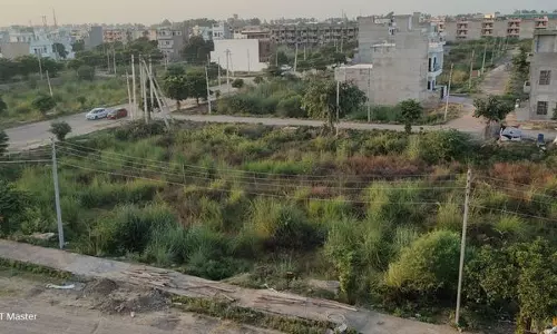 Haryana : खाली प्लॉटों पर उगी घास इन जानवरों के प्रजनन का अड्डा बन गई Haryana : खाली प्लॉटों पर उगी घास इन जानवरों के प्रजनन का अड्डा बन गई