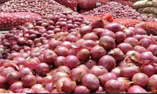 प्याज की कीमत में आई गिरावट, किसानों की मुश्किलें बढ़ी