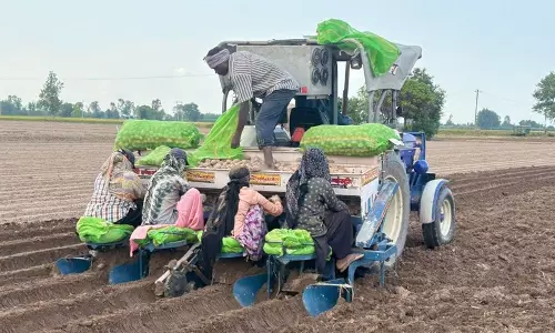 Haryana :  किसान आलू के सुरक्षित मूल्य में वृद्धि की मांग कर रहे हैं
