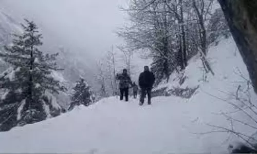 Uttarkashi: बर्फबारी के बाद पार्क ने बंद किया ट्रैकिंग रूट
