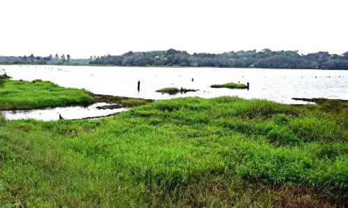 Kerala : चेलूर झील सस्थामकोट्टा का पर्यटन केंद्र बनेगी