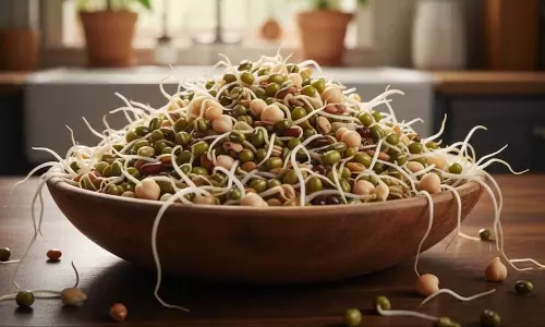 Belly की चर्बी घटानी है? मुट्ठी भर अंकुरित अनाज को बनाएं अपना नाश्ता, चर्बी पिघलेगी मक्खन की तरह