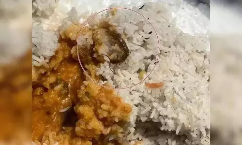 Jerry मिड-डे मील में लाइव दिखा.. छात्र आंदोलन में