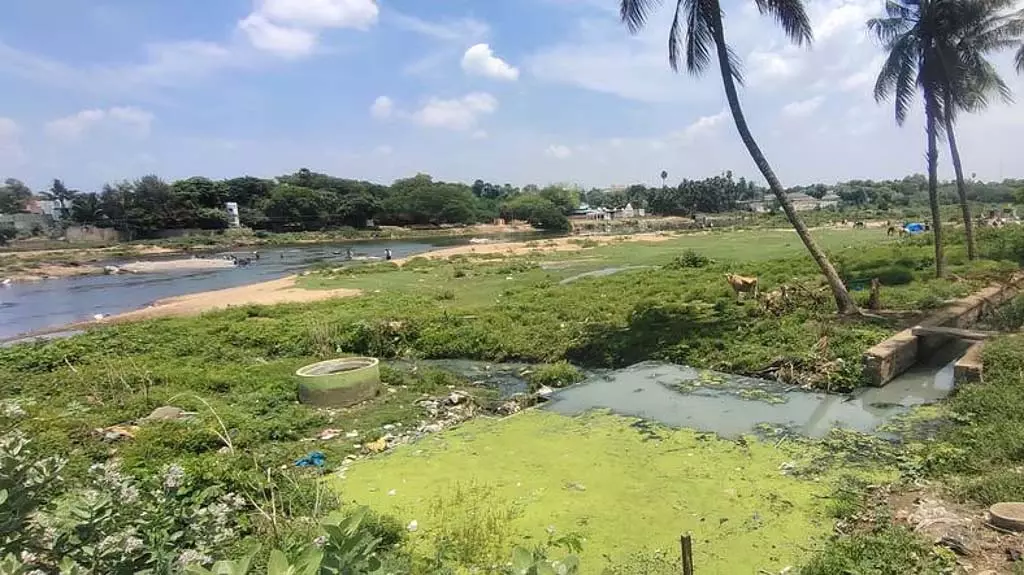 तमिरावरुनी में सीवेज मिश्रण: 1.55 करोड़ का जुर्माना लगाने की सिफारिश तमिरावरुनी में सीवेज मिश्रण: 1.55 करोड़ का जुर्माना लगाने की सिफारिश