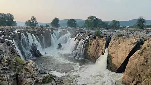 Tamil Nadu : होगेनक्कल में जल प्रवाह बढ़ा Tamil Nadu : होगेनक्कल में जल प्रवाह बढ़ा