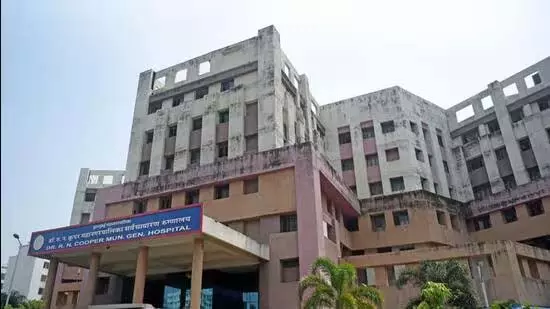 Mumbai कूपर अस्पताल में चूहों का आतंक जारी, पिछले 2 महीनों में 6 मरीजों को काटा Mumbai कूपर अस्पताल में चूहों का आतंक जारी, पिछले 2 महीनों में 6 मरीजों को काटा