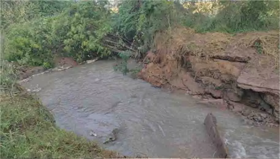 Haryana: चौटाला डिस्ट्रीब्यूटरी टूटी, 90 एकड़ फसलें जलमग्न Haryana: चौटाला डिस्ट्रीब्यूटरी टूटी, 90 एकड़ फसलें जलमग्न