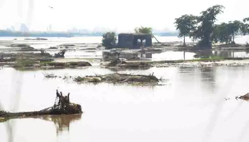 Punjab: बाढ़ प्रभावित क्षेत्रों से 10 लाख धान की बोरियों की कमी की संभावना Punjab: बाढ़ प्रभावित क्षेत्रों से 10 लाख धान की बोरियों की कमी की संभावना