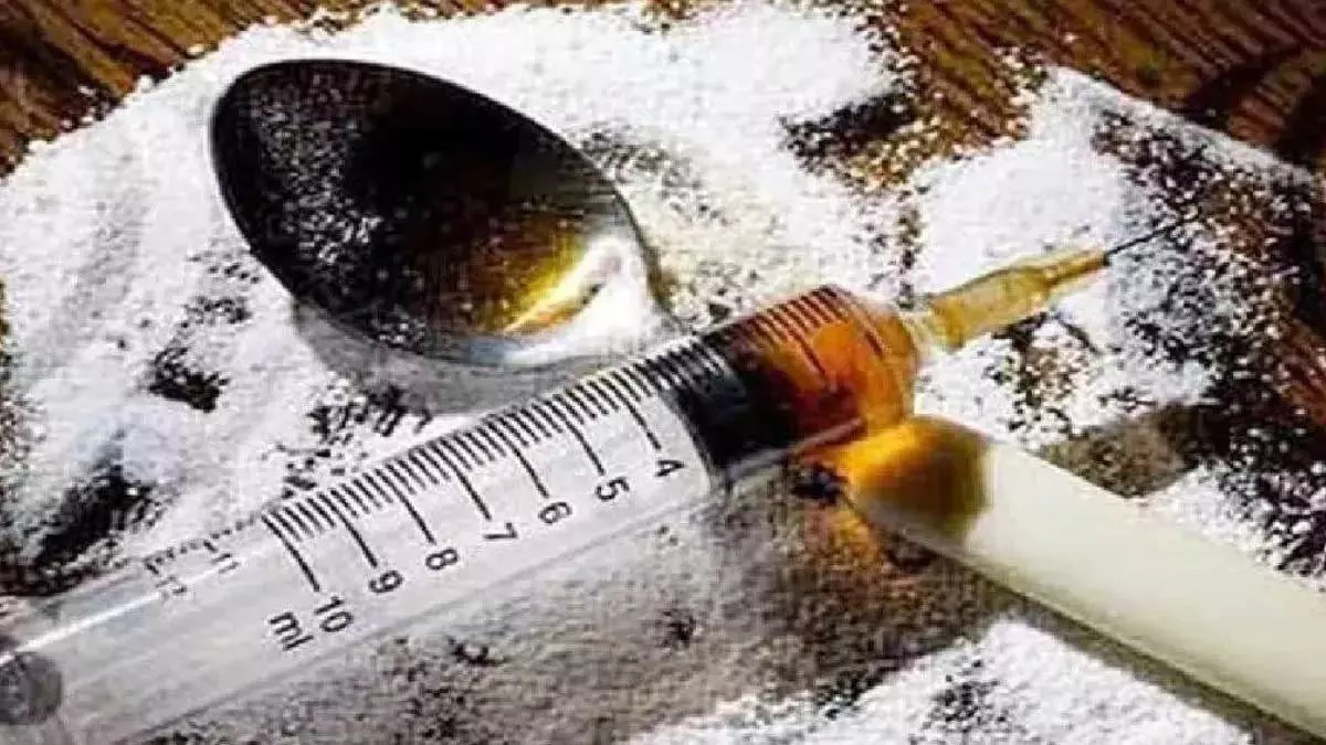 पुलिस ने ड्रग्स तस्करी नेटवर्क का किया भंडाफोड़, 80 लाख की चरस बरामद पुलिस ने ड्रग्स तस्करी नेटवर्क का किया भंडाफोड़, 80 लाख की चरस बरामद