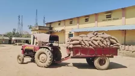गोदाम से गायब हुआ नौ हजार क्विंटल अनाज, डीसी ने दो को निलंबित किया गोदाम से गायब हुआ नौ हजार क्विंटल अनाज, डीसी ने दो को निलंबित किया