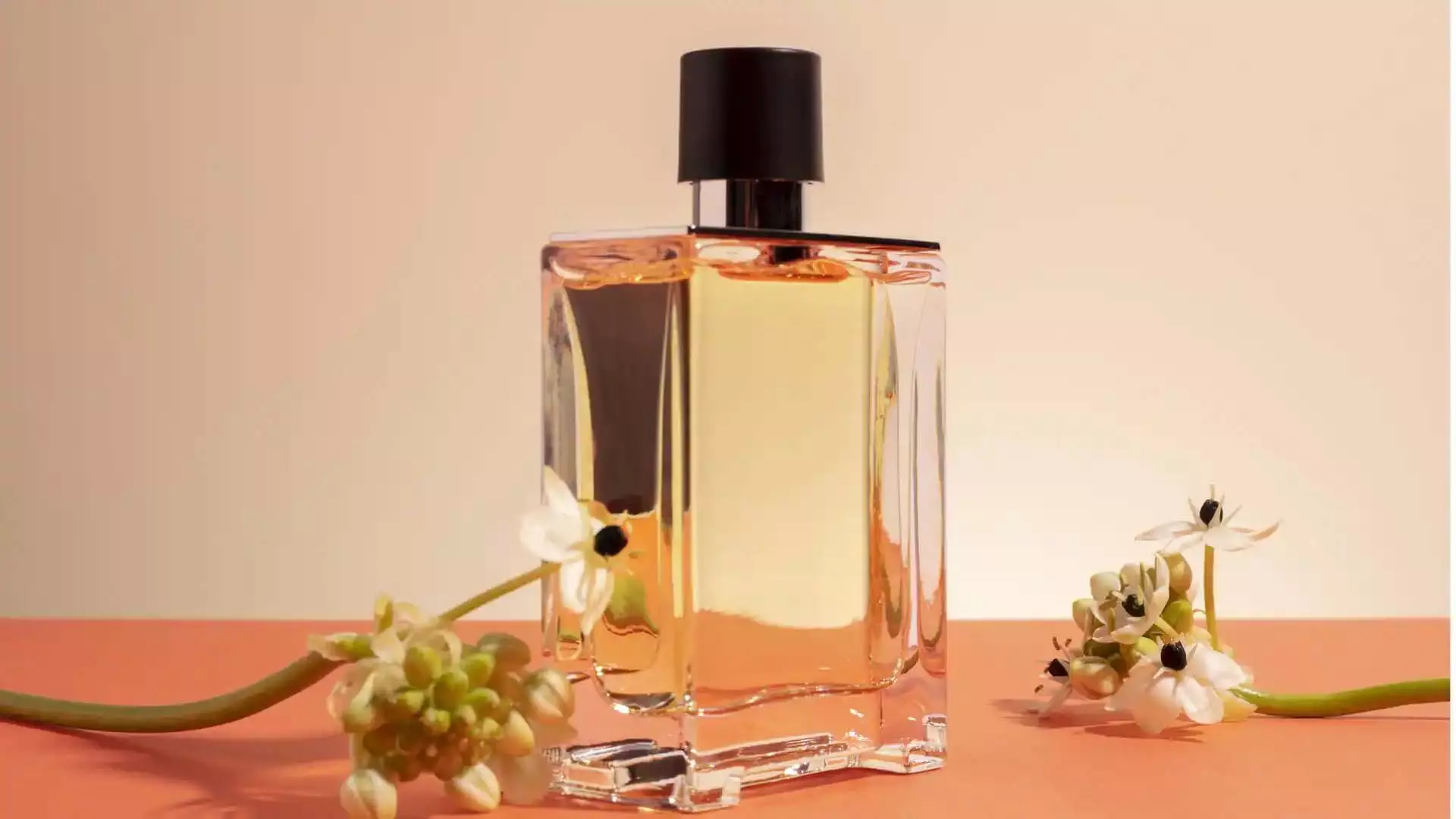 Perfume लगाने का सही तरीका: दिनभर खुशबू बनाए रखने के लिए अपनाएं ये खास टिप्स Perfume लगाने का सही तरीका: दिनभर खुशबू बनाए रखने के लिए अपनाएं ये खास टिप्स