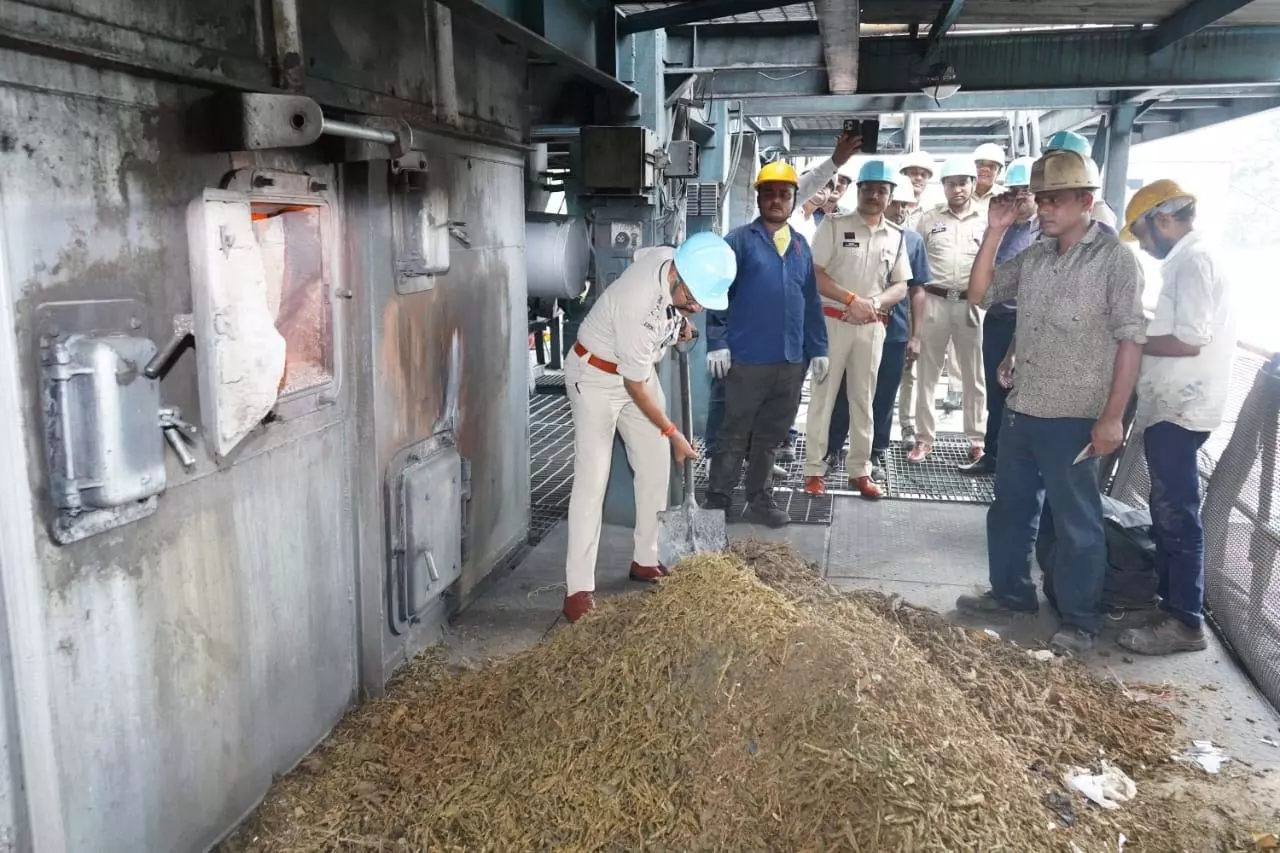 रायपुर SSP लाल उम्मेद सिंह ने किया 500 किलो गांजा नष्ट रायपुर SSP लाल उम्मेद सिंह ने किया 500 किलो गांजा नष्ट