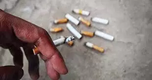 Cigarettes से ज्यादा खतरनाक तंबाकू: स्टडी में हुआ खुलासा, तेजी से बढ़ाता है कैंसर का खतरा Cigarettes से ज्यादा खतरनाक तंबाकू: स्टडी में हुआ खुलासा, तेजी से बढ़ाता है कैंसर का खतरा