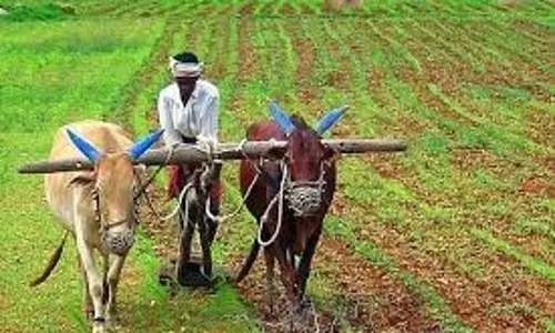 Mohali किसानों को 48 घंटे में 144 करोड़ रुपये से अधिक का भुगतान