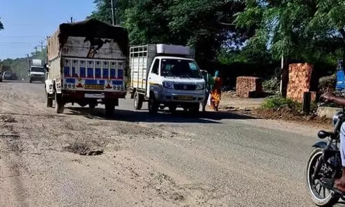 जवांडा की घातक दुर्घटना के पीछे अवैध कचरा डंप और आवारा मवेशी हैं Punjab