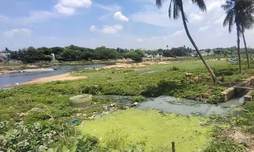 तमिरावरुनी में सीवेज मिश्रण: 1.55 करोड़ का जुर्माना लगाने की सिफारिश तमिरावरुनी में सीवेज मिश्रण: 1.55 करोड़ का जुर्माना लगाने की सिफारिश