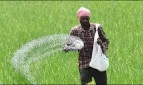 Punjab किसानों ने डीएपी की कमी और अधिक कीमत वसूलने का आरोप लगाया